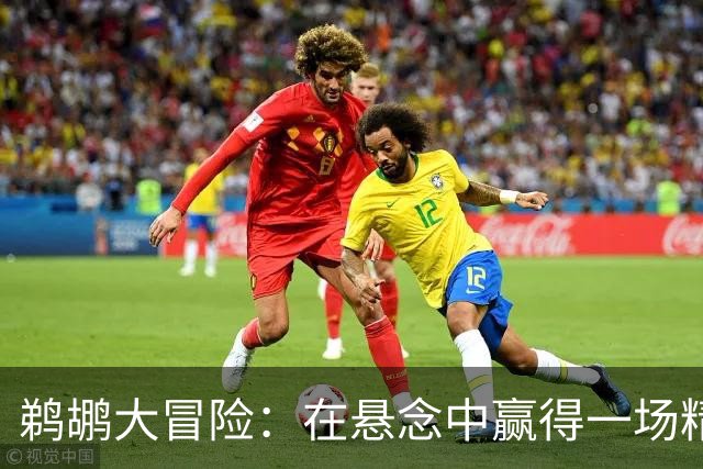 鹈鹕大冒险：在悬念中赢得一场精彩之战！